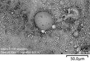 Iron Meteorites02
