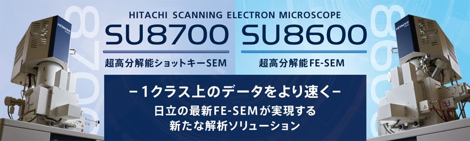 電界放出形走査電子顕微鏡（FE-SEM）